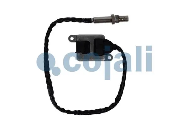 NOx Sensor, urea injection (2269072)