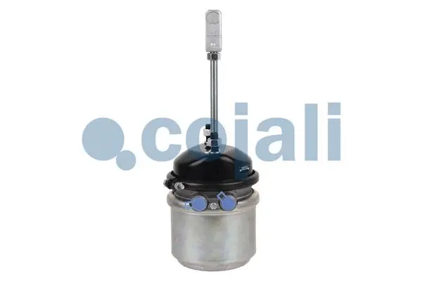 Spring-loaded Cylinder (2251403)