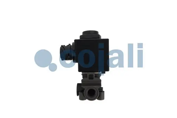 Solenoid Valve (2880216)
