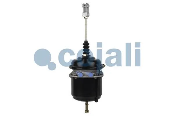 Spring-loaded Cylinder (2251408)