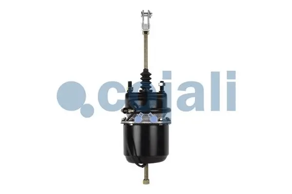 Spring-loaded Cylinder (2251402)