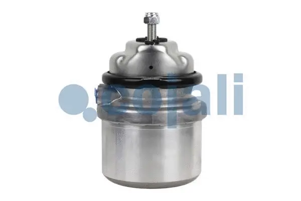 Spring-loaded Cylinder