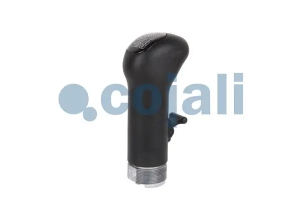 Gear Shift Lever Knob (2880236)