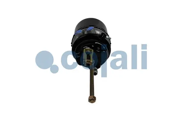 Spring-loaded Cylinder