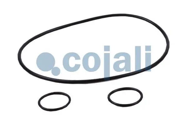 Repair Kit, clutch booster