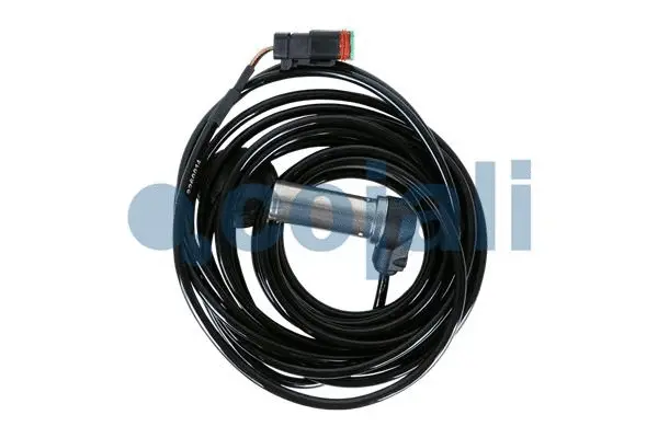 Sensor, wheel speed (2261175)