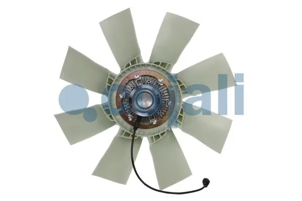 Fan, engine cooling
