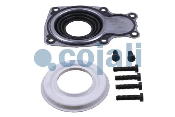 Repair Kit, brake caliper (6086068)