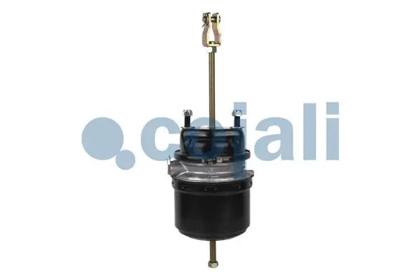 Spring-loaded Cylinder