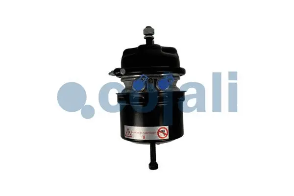 Spring-loaded Cylinder (2251563)