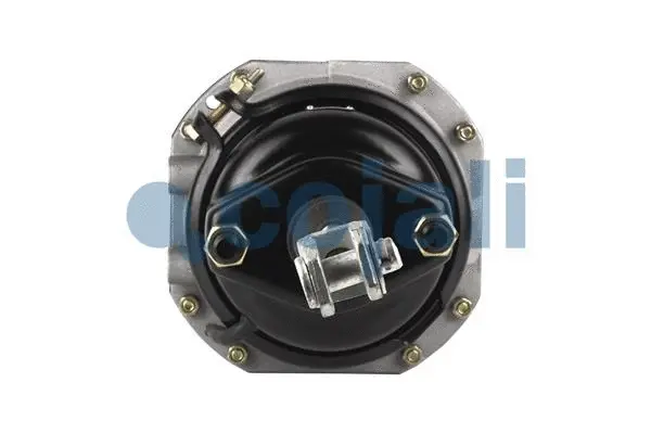 Spring-loaded Cylinder