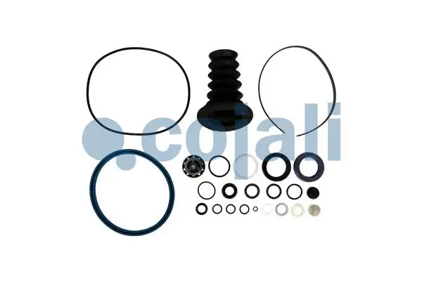 Repair Kit, clutch booster (6034063)