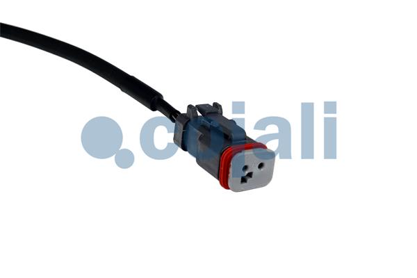 Sensor, wheel speed