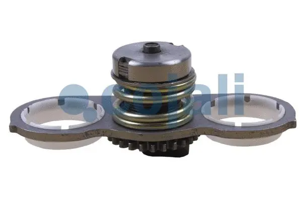 Repair Kit, brake caliper (6086516)
