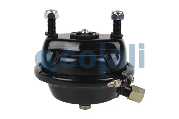 Diaphragm Brake Cylinder