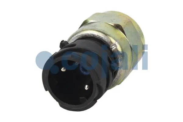 Pressure Switch, brake hydraulics (2260434)