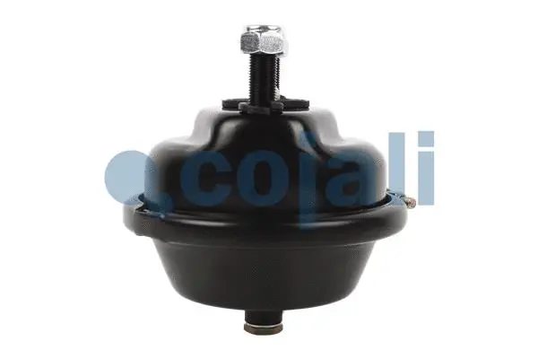 Diaphragm Brake Cylinder