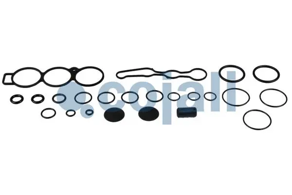 Repair Kit, air spring valve (6012272)