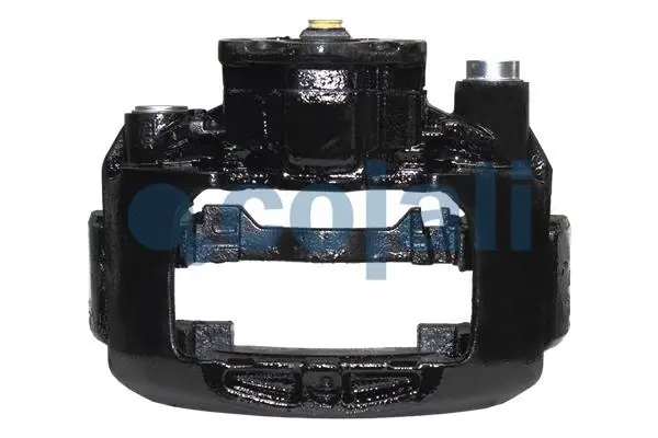 Brake Caliper (359251)