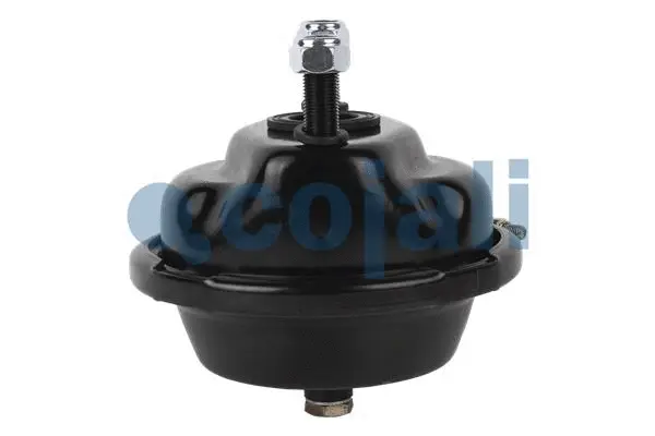 Diaphragm Brake Cylinder
