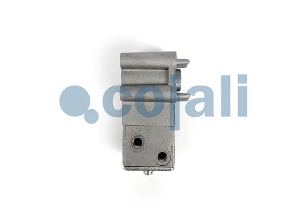 Water Drain Valve