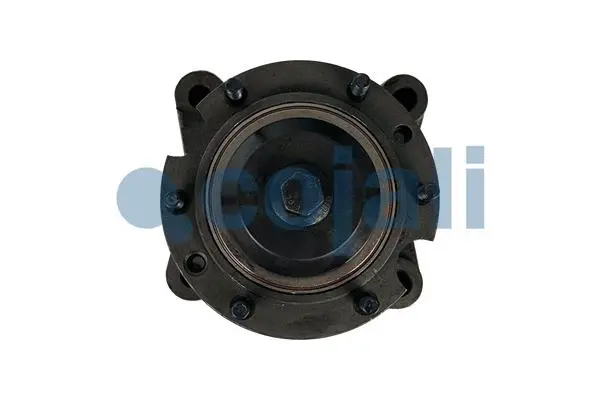 Clutch, radiator fan