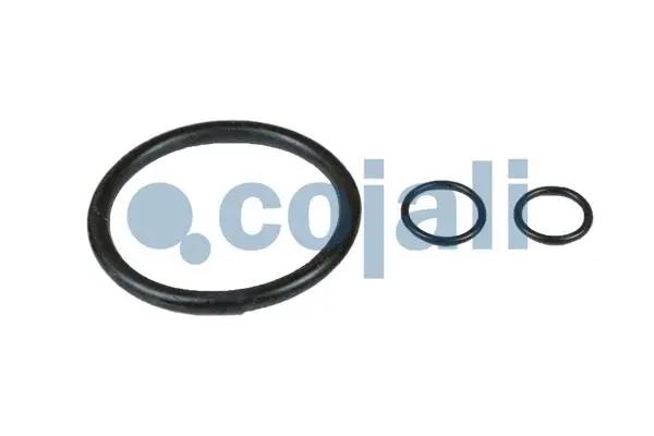 Repair Kit, brake force regulator