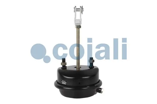 Diaphragm Brake Cylinder (2251111)