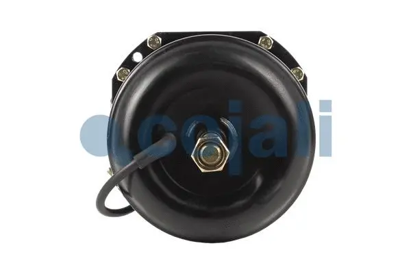 Spring-loaded Cylinder