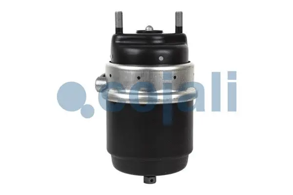 Spring-loaded Cylinder