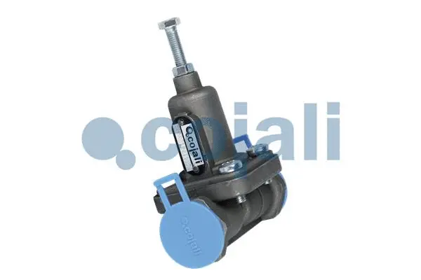 Overflow Valve (2206136)