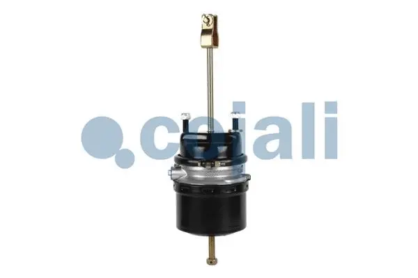 Spring-loaded Cylinder