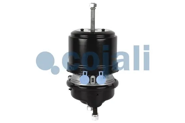 Spring-loaded Cylinder (2251513)