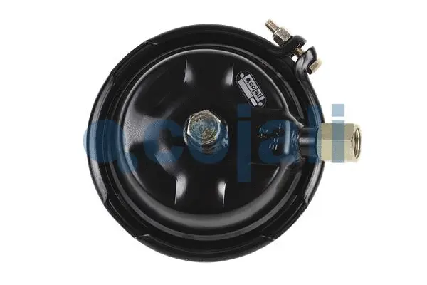 Diaphragm Brake Cylinder