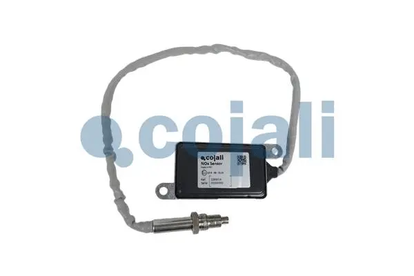 NOx Sensor, urea injection (2269016)