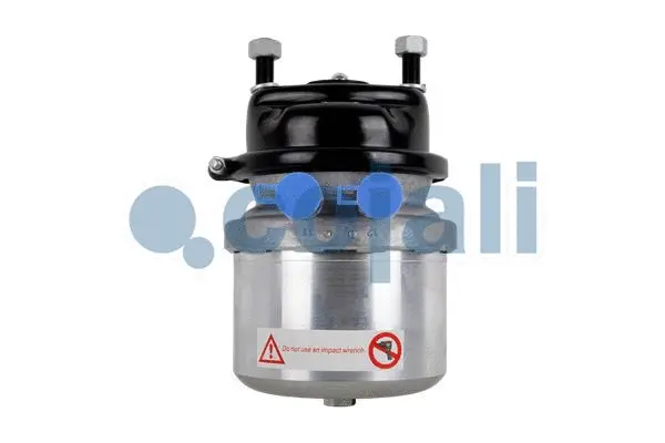 Spring-loaded Cylinder (2351326)