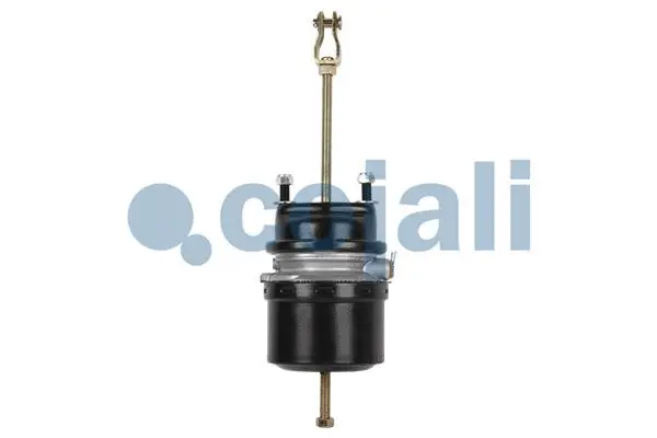 Spring-loaded Cylinder