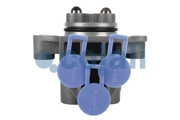 Multiport Valve (2880197)