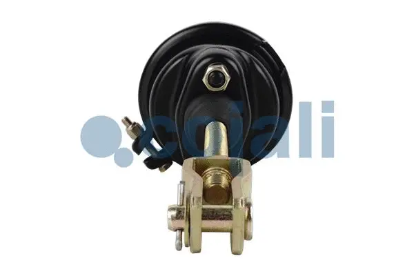Diaphragm Brake Cylinder