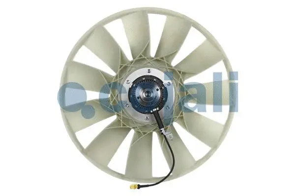 Fan, engine cooling