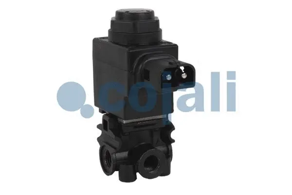Solenoid Valve (2880127)