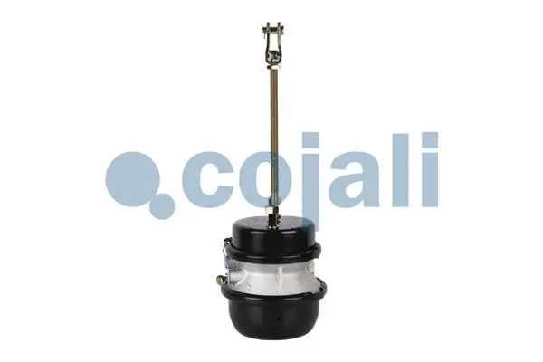 Multi-function Brake Cylinder