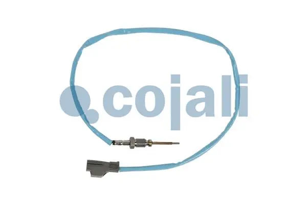 Sensor, exhaust gas temperature (2262026)