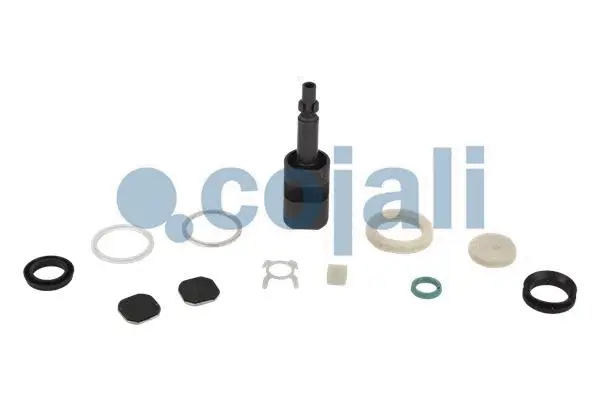 Repair Kit (6012236)