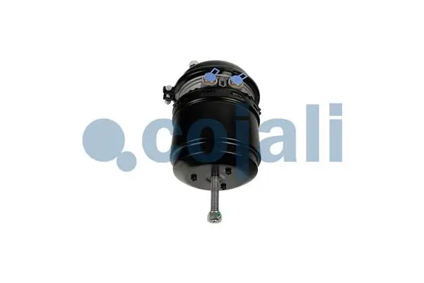 Spring-loaded Cylinder