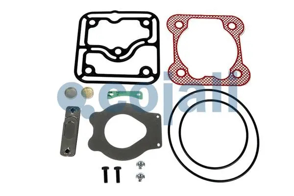 Repair kit, air compressor (25000006)