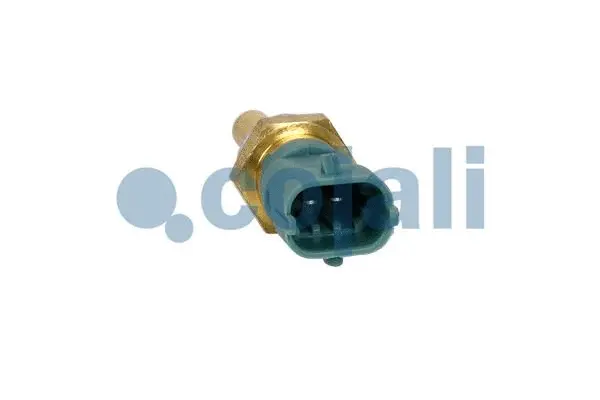 Sensor, coolant temperature