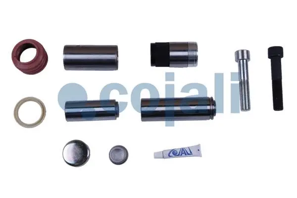 Repair Kit, brake caliper (6084009)