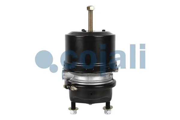 Spring-loaded Cylinder