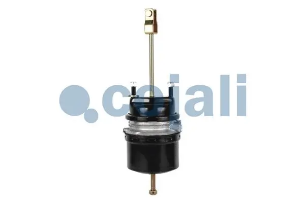 Spring-loaded Cylinder